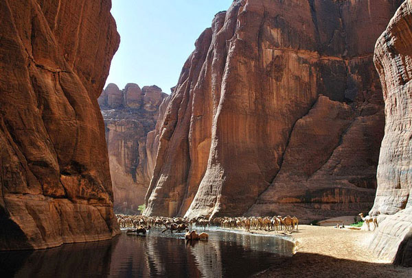 perierga.gr - Guelta D' Archei: Μια πηγή μέσα στη Σαχάρα!