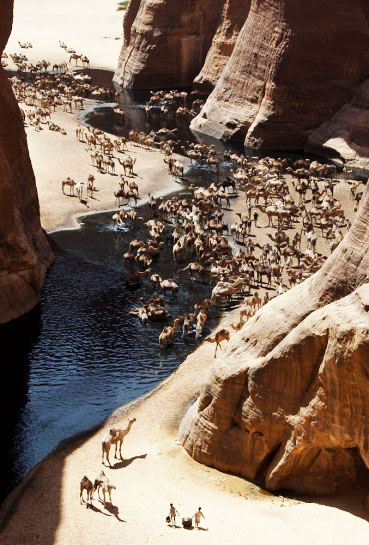 perierga.gr - Guelta D' Archei: Μια πηγή μέσα στη Σαχάρα!