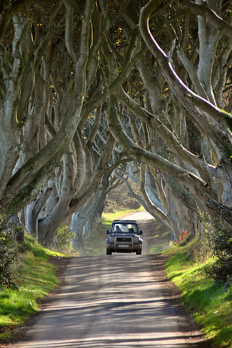 perierga.gr - Dark Hedges: Ένας παράξενος δρόμος!