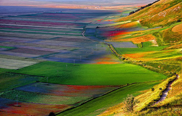 perierga.gr - Castelluccio: Η πολύχρωμη κοιλάδα της Ιταλίας!